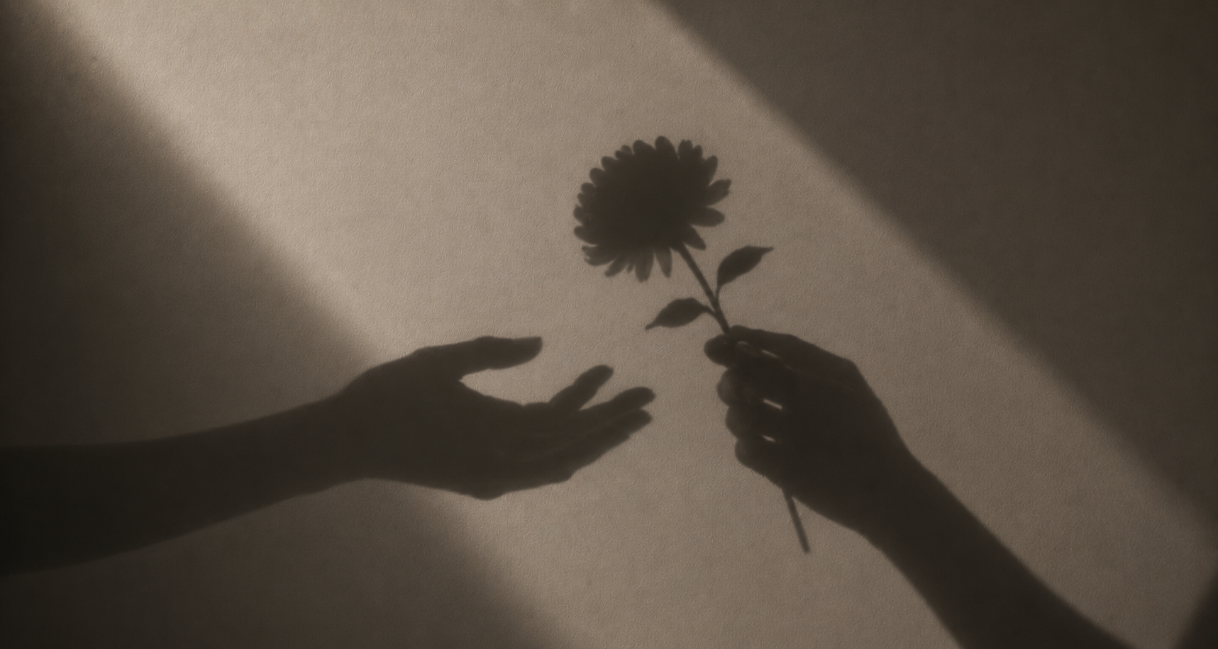 Shadow of one hand offering a flower to another, in warm monochrome